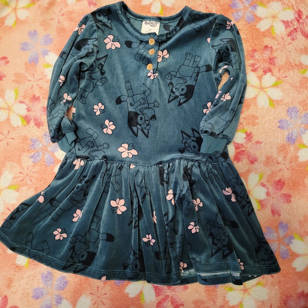 Toddler Girls' Bluey Velour Dress - Teal Blue 3T